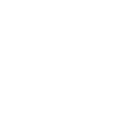 icon-seguridad